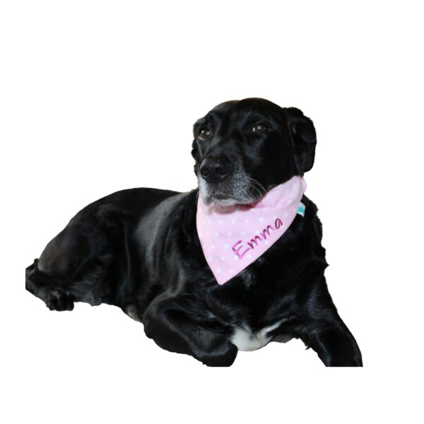 Hundehalstuch mit Sternen - Image 3